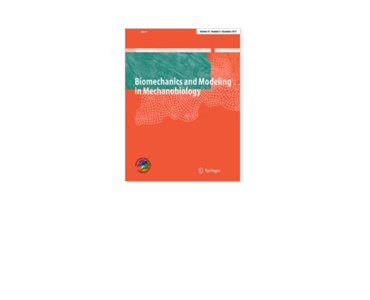 B_Biomechanics_Modeling