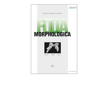 B_Folia-Morphologica